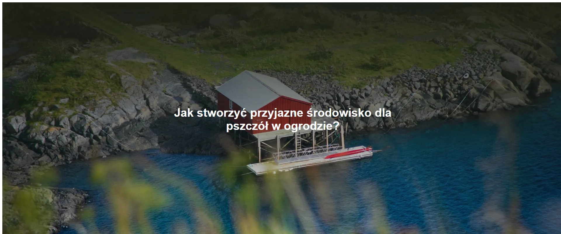 Jak stworzyć przyjazne środowisko dla pszczół w ogrodzie?