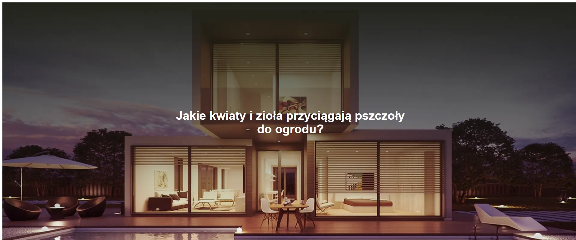 Jakie kwiaty i zioła przyciągają pszczoły do ogrodu?