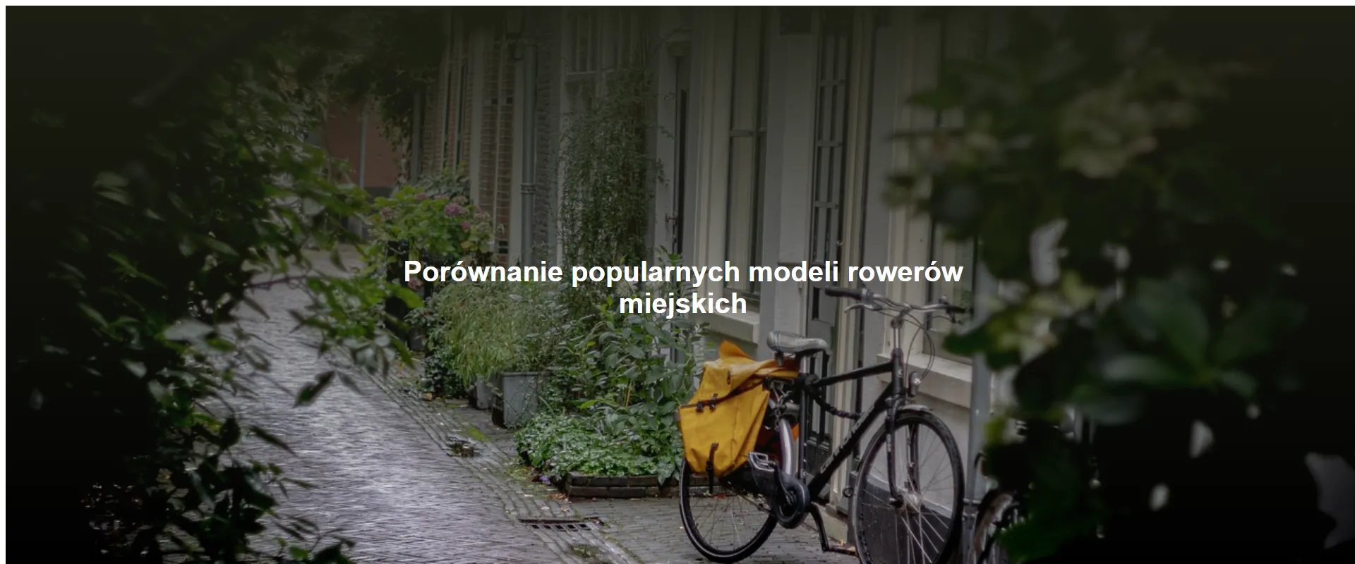 Porównanie popularnych modeli rowerów miejskich